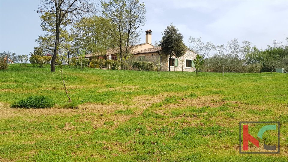 Istria - Bale, Villa with a pool and 32.000m2 of land