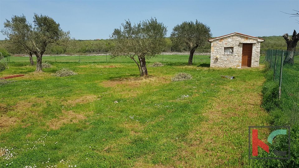 Istrien - Bale, Villa mit Swimmingpool auf einem Grundstück von 30.550 m2