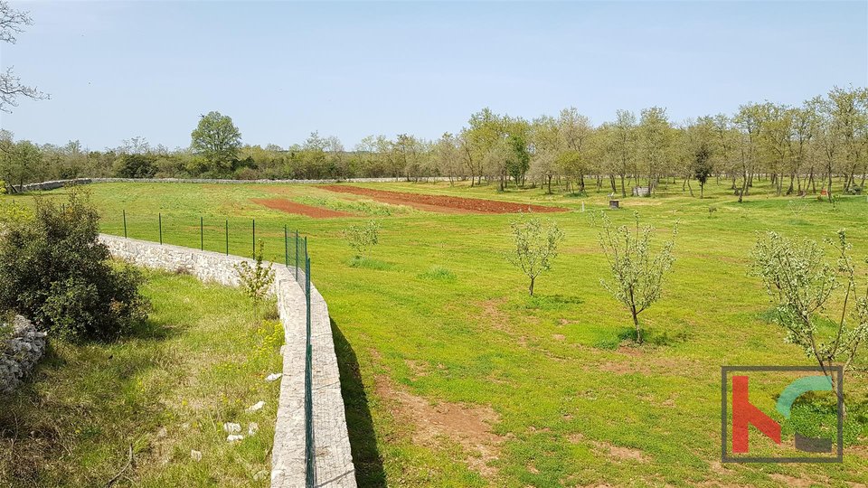 Istra - Bale,  Villa s bazenom na imanju od 30.550m2