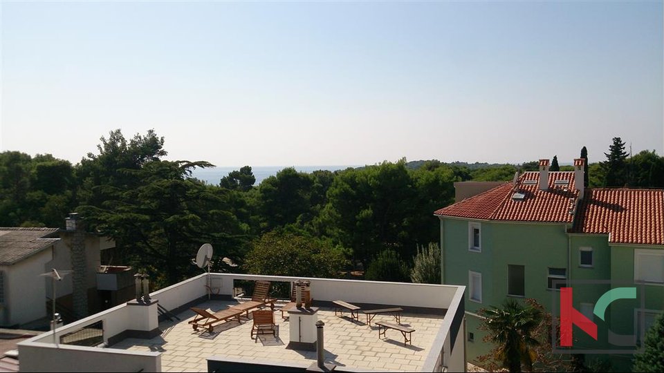 Pula, Stoja 297m2 house with a beautiful garden of 543m2