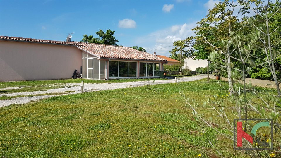 Istria - Marčana house on a quiet location with 26.288 m2 garden
