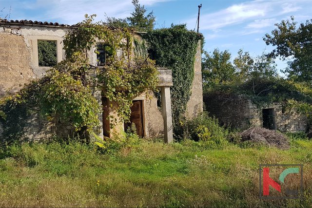 Gračišće, Lančišće stara istrska hiša 300m2 vrta 6856m2