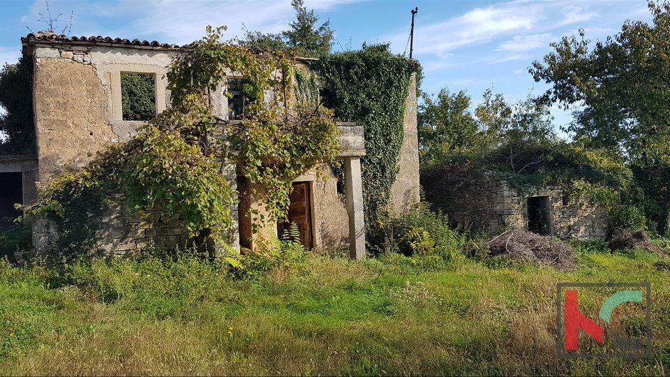 Gračišće, Lančišće vecchia casa istriana 300m2 giardino 6856m2