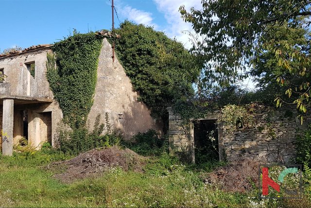 Gračišće, Lančišće stara istrska hiša 300m2 vrta 6856m2
