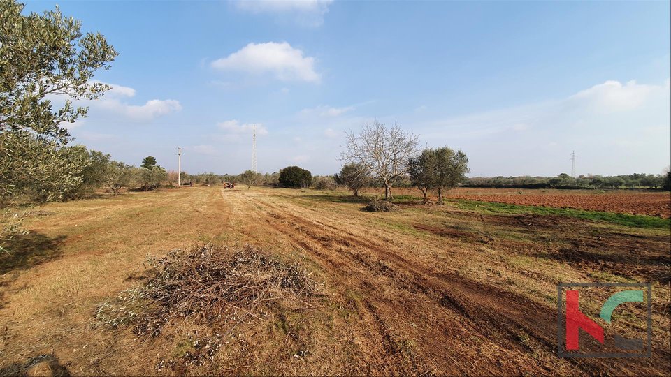 Istria - Fazana, land 479m2 with water on the land
