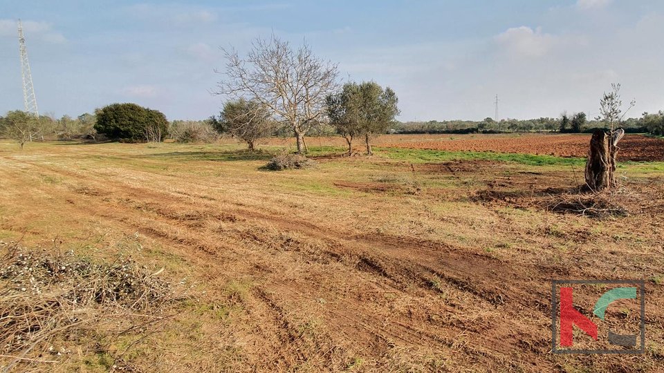 Istria - Fazana, agricultural land 507m2 with water on the land
