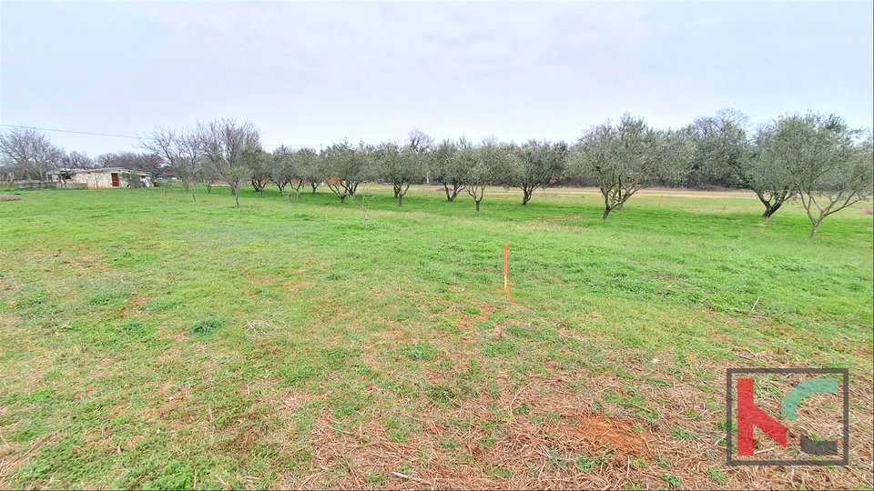 Pula, several weekend plots with water, various sizes in a quiet location II 13 € / m2