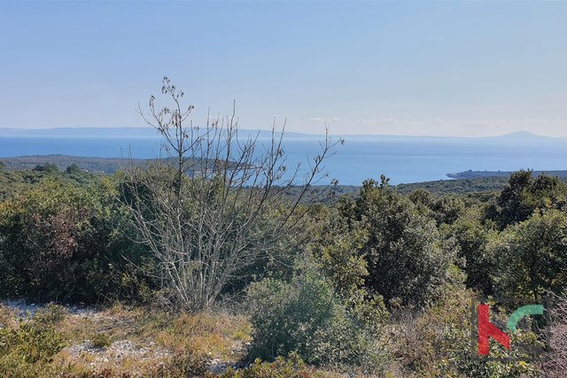 Istra - Pavićini - Duga uvala, zemljišče 9000m2 s panoramskim pogledom na morje