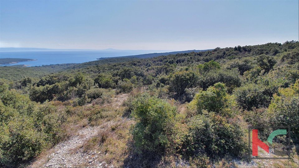 Истрия - Павичини - Дуга увала, земельный участок 9000м2 с панорамным видом на море