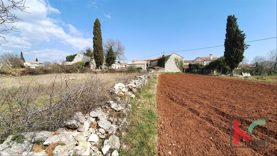 Istria - Barban, 4 vecchie case in un ampio giardino