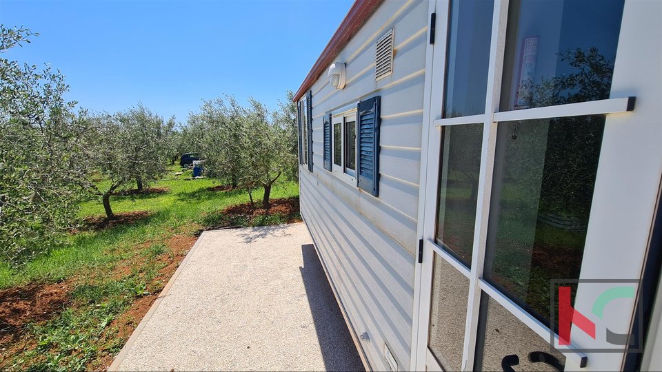 Istria- Medulin, uliveto su terreno agricolo 4.510m3 con, II Casa mobile II elettricità sul terreno