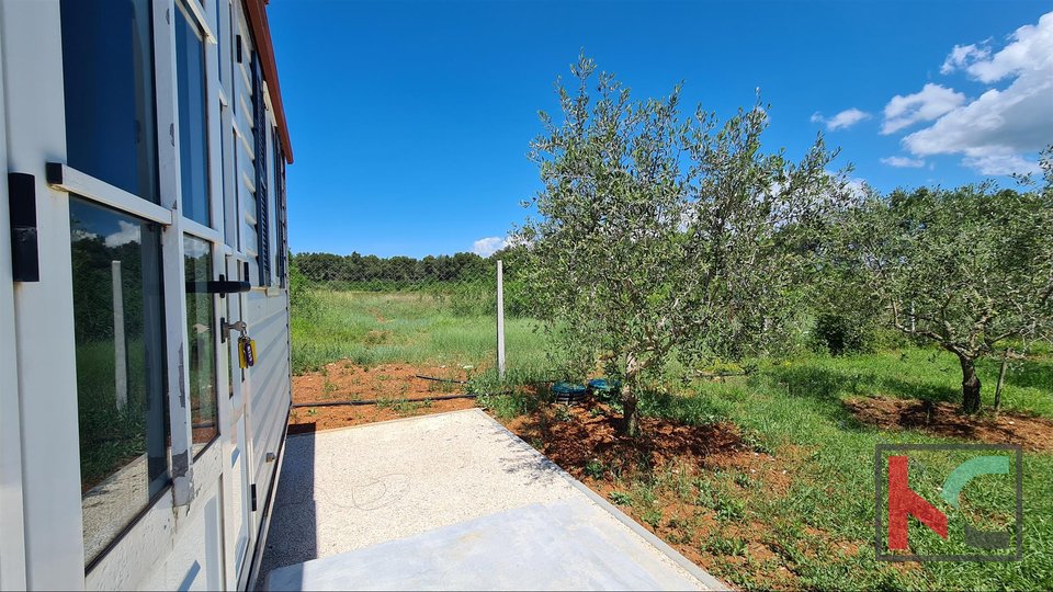 Istrien- Medulin, Olivenhain auf landwirtschaftlichem Land 4.510m3 mit, II Mobilheim II Strom auf dem Grundstück