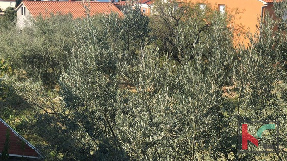 Istra, Fažana - hiša z vrtom in 2 parkirnima mestoma, 300m od morja