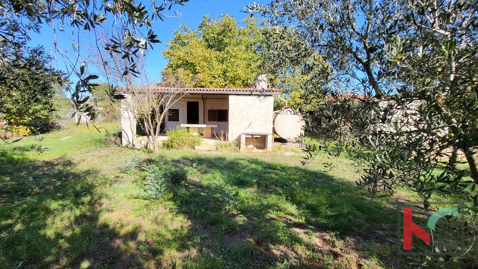 Pula, Busoler, land 4022m2 with a house and 180 olive trees