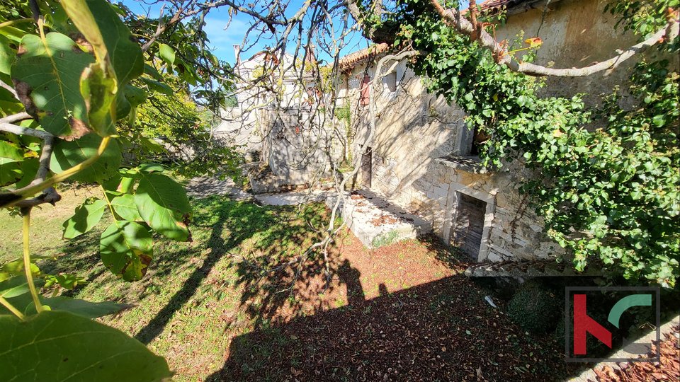 Istria, a rare detached Istrian stone old house on 687m2 garden, near Rovinj