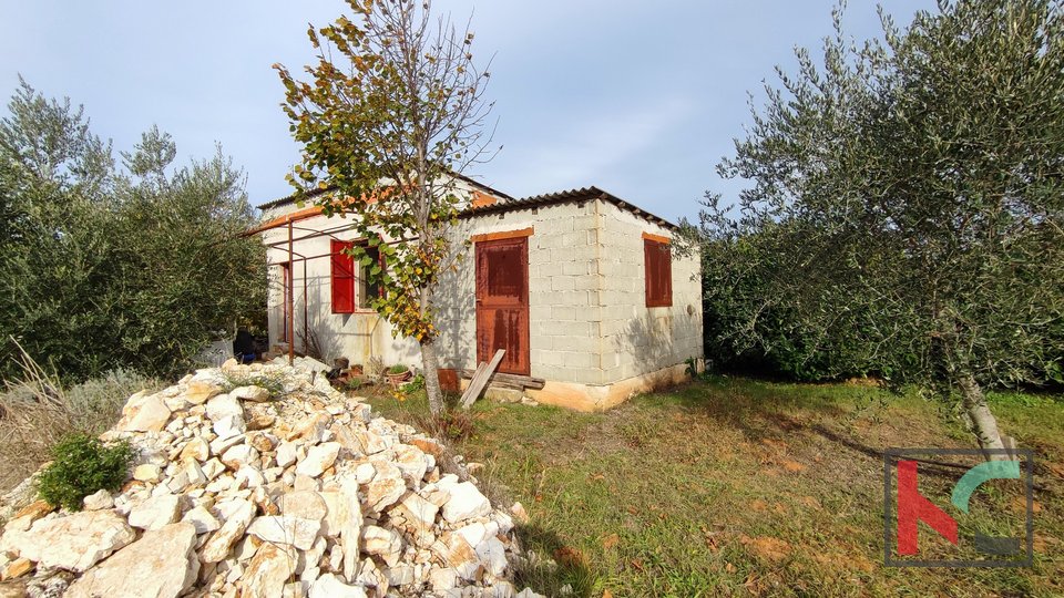Istria, Pula, legalized cottage with a garden of 1001 m2