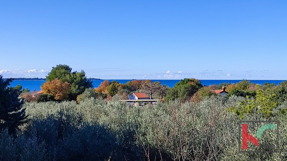 Istrien, Peroj, Wochenendhaus mit Pool und landwirtschaftlichem Grundstück von 6155 m2, 300 m zum Meer