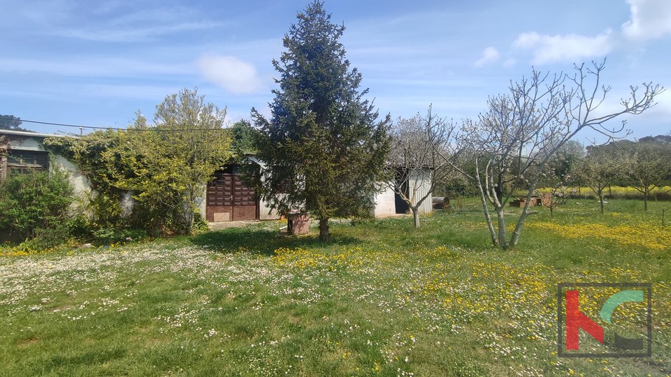 Valbonaša, Medulin, house surrounded by a beautiful and green garden