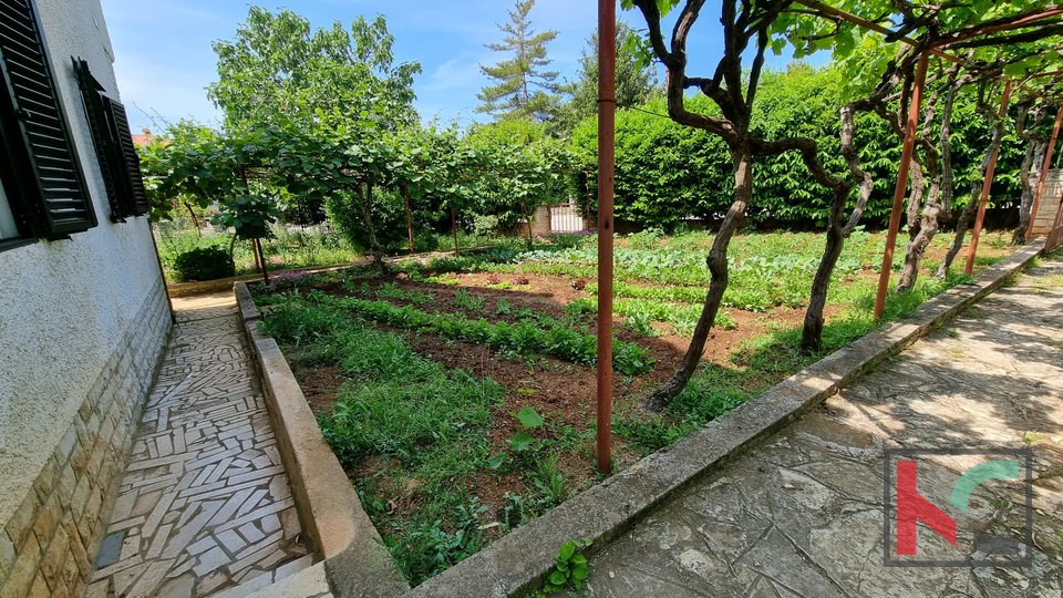 Pješčana Uvala, hiša 235m2 na zeleni parceli 554m2