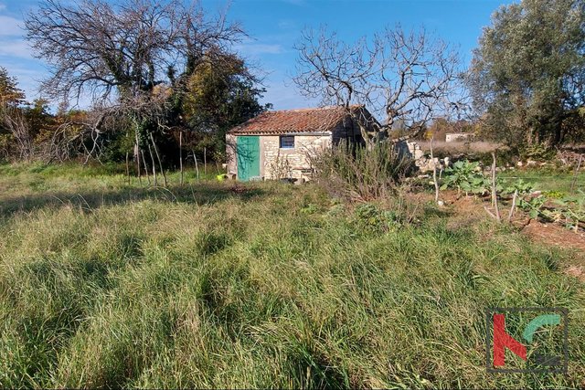Istria, Rovinj, Veštar agricultural land 3187m2 with a building of 28m2