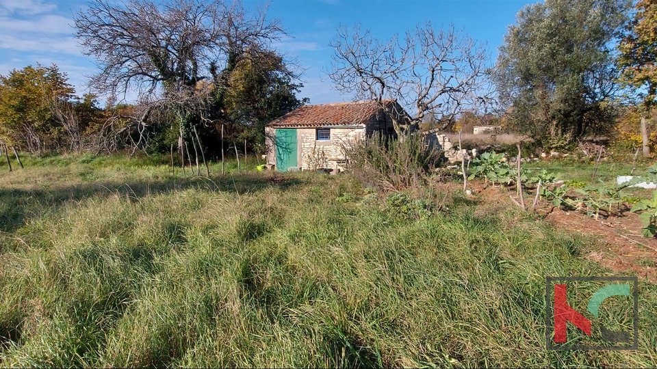 Istria, Rovinj, Veštar agricultural land 3187m2 with a building of 28m2