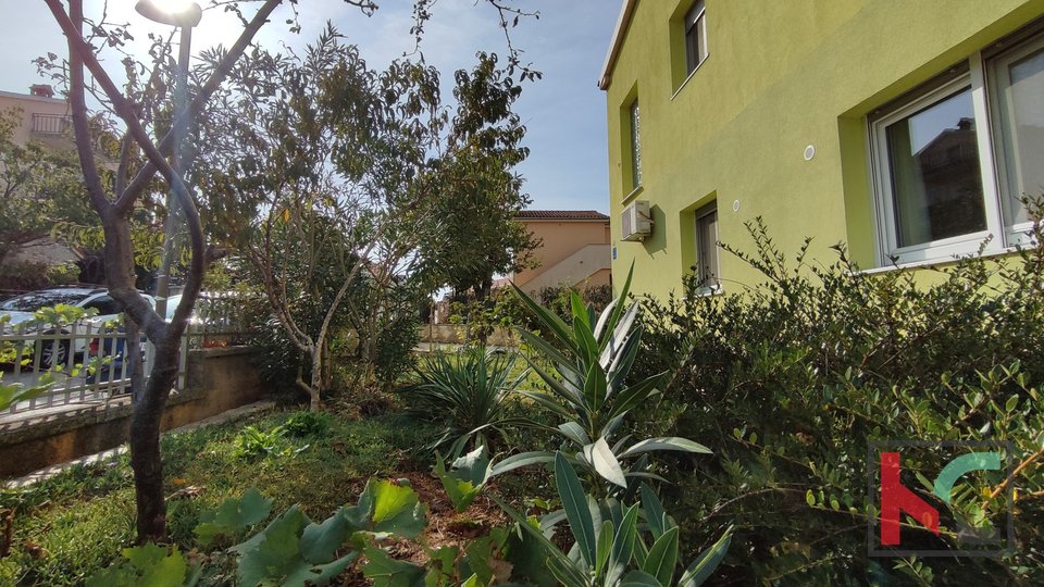 Istra, Pula, Veli vrh, hiša za bivanje in dva apartmaja, urejen vrt 460m2