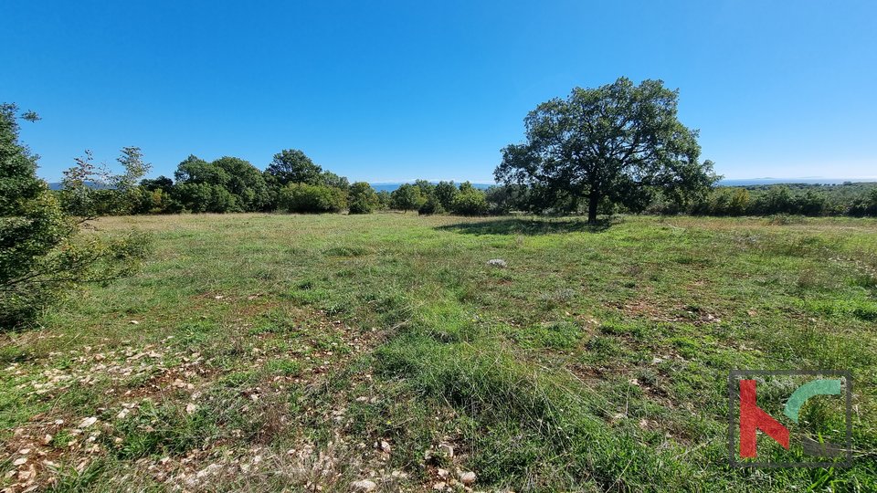 Istria, Perugia, building and agricultural land 5932m2 with sea view