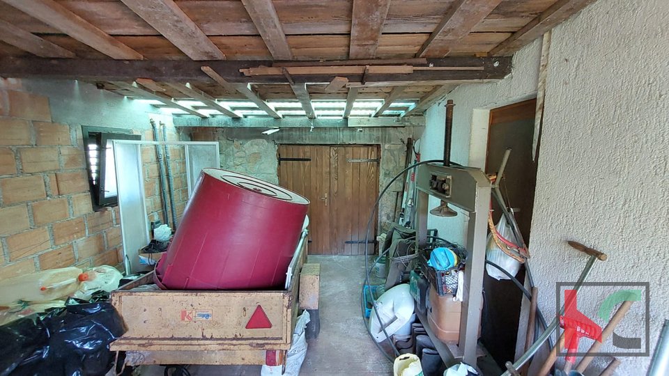 Ровинь, узаконенный дом с оливковой рощей и виноградником на участке 4471 м2 #продажа