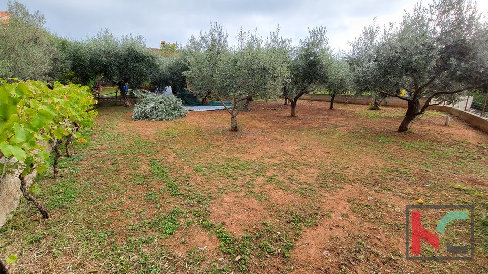 Istria - Peruški, house on a spacious plot of 1000m2, sea view # for sale