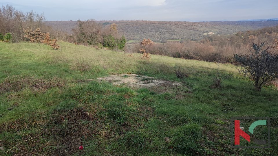 Istra, Mutvoran, poljoprivredno zemljište 12000 m2 sa objektom nedaleko Duge Uvale, #prodaja