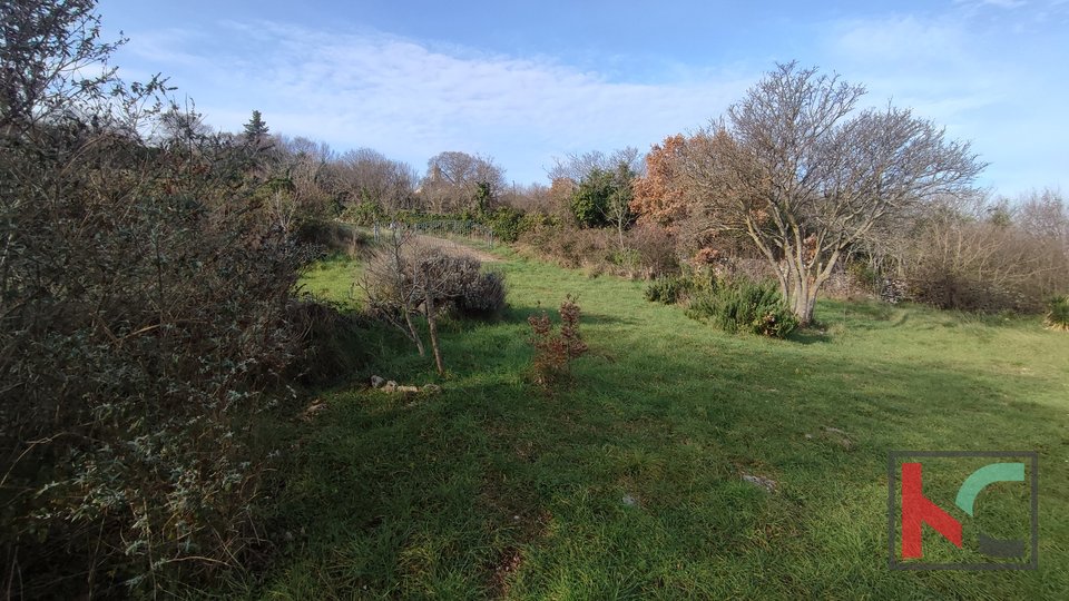 Istra, Mutvoran, kmetijsko zemljišče 12000 m2 z objektom v bližini Duge Uvale, #prodaja