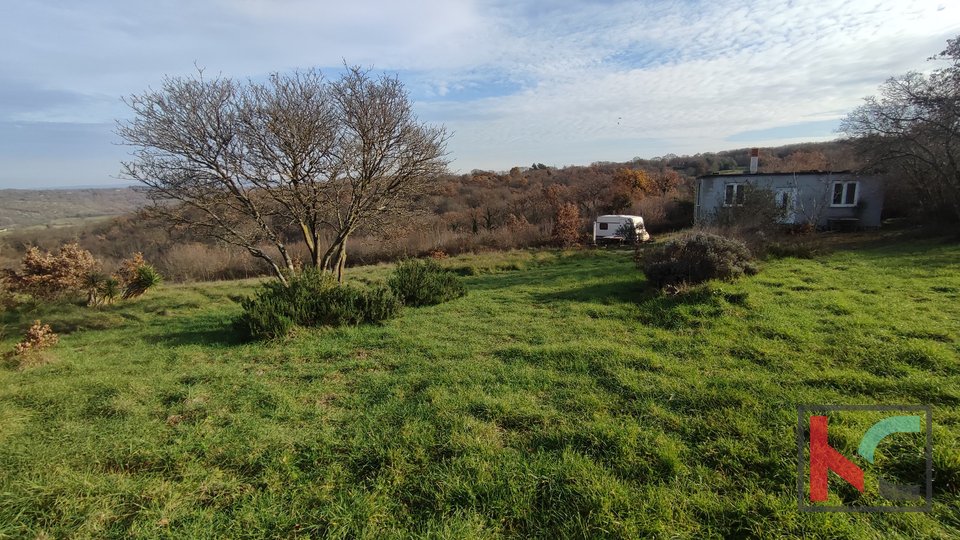Istra, Mutvoran, kmetijsko zemljišče 12000 m2 z objektom v bližini Duge Uvale, #prodaja