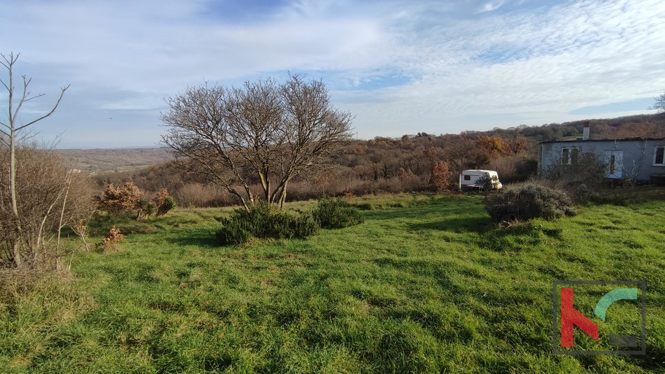 Istra, Mutvoran, poljoprivredno zemljište 12000 m2 sa objektom nedaleko Duge Uvale, #prodaja