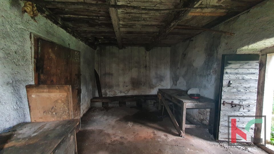 Hrboki, stara istrska kamnita hiša s skednjem za obnovo, odlična priložnost #prodaja