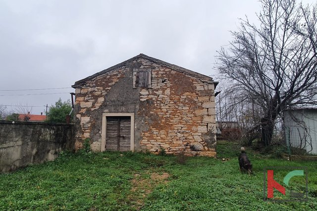 Hrboki, stara istrska kamnita hiša s skednjem za obnovo, odlična priložnost #prodaja