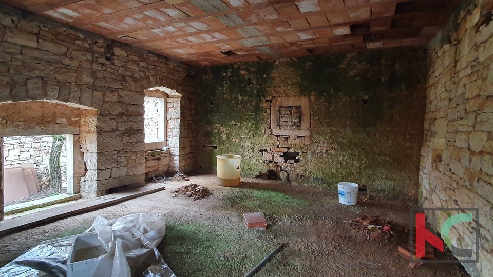 Žminj, centralna Istra, dvije veće stare spojene autohtone istarske kuće za renovaciju na 507m2, #prodaja