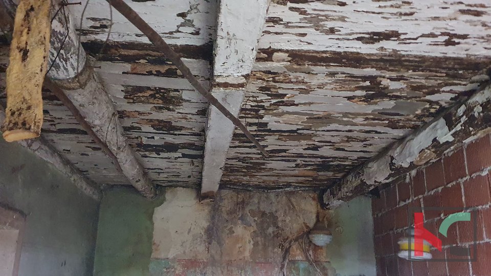 Žminj, osrednja Istra, dve večji stari povezani avtohtoni istrski hiši za obnovo 507m2, #prodaja