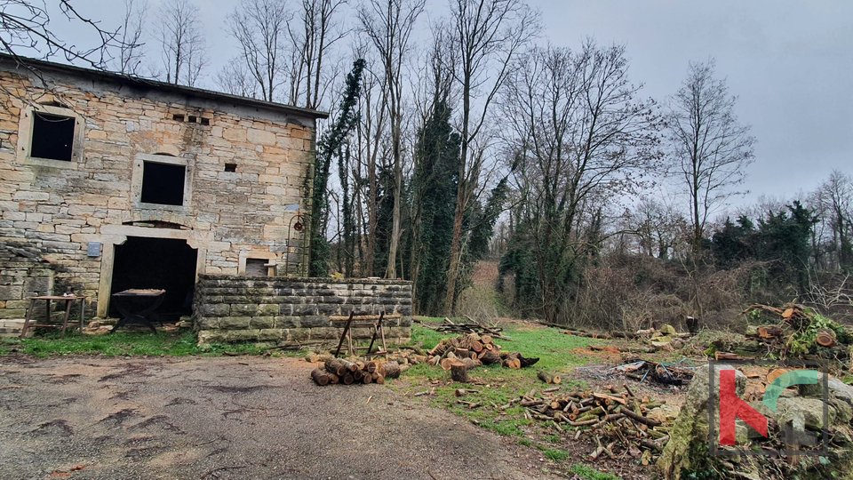 Žminj, central Istria, two larger old connected autochthonous Istrian houses for renovation on 507m2, #sale