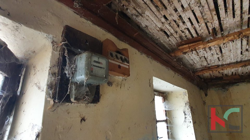Žminj, centralna Istra, dvije veće stare spojene autohtone istarske kuće za renovaciju na 507m2, #prodaja