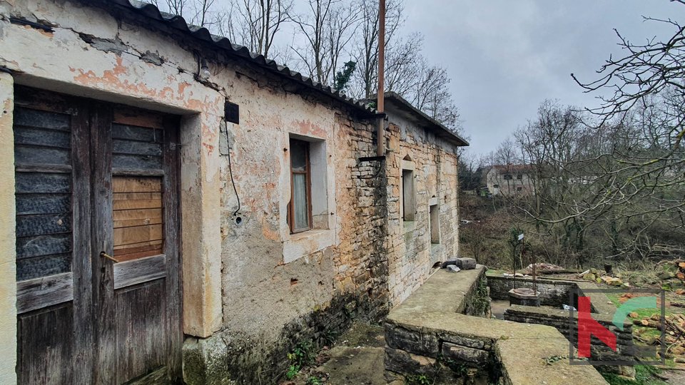 Žminj, centralna Istra, dvije veće stare spojene autohtone istarske kuće za renovaciju na 507m2, #prodaja
