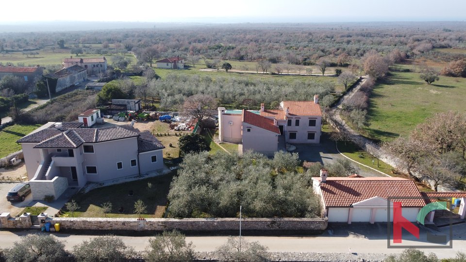 Истрия, Воднян, традиционный истрийский дом с бассейном и оливковой рощей, участок под застройку 4671 м2, #продажа