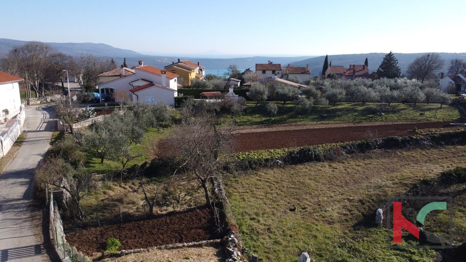 Istria, Barban, stone house for renovation and land of 1826 m2, #sale