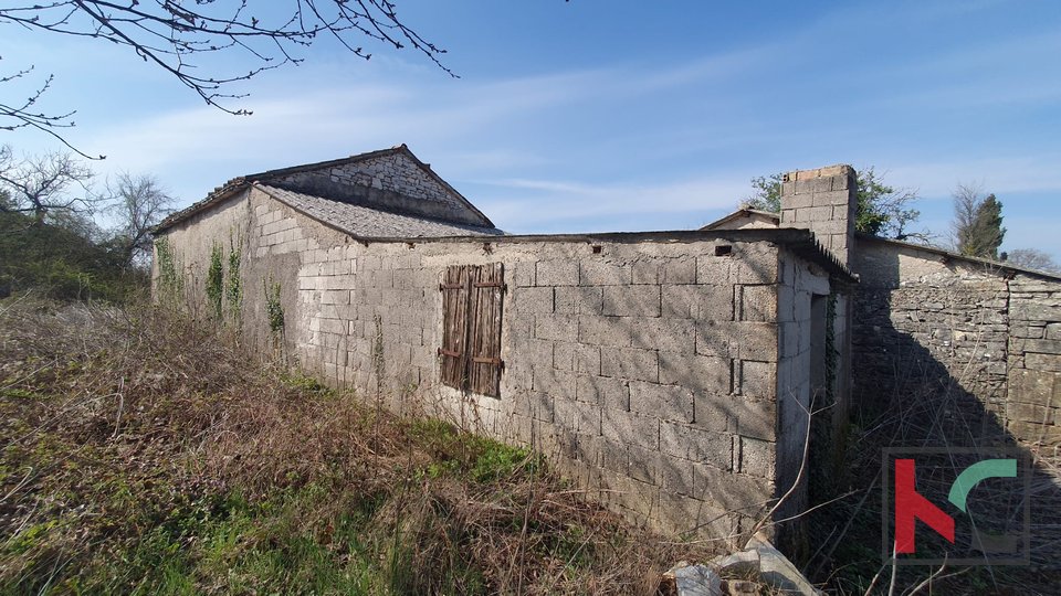 Istria, Žminj, stone house for renovation #sale