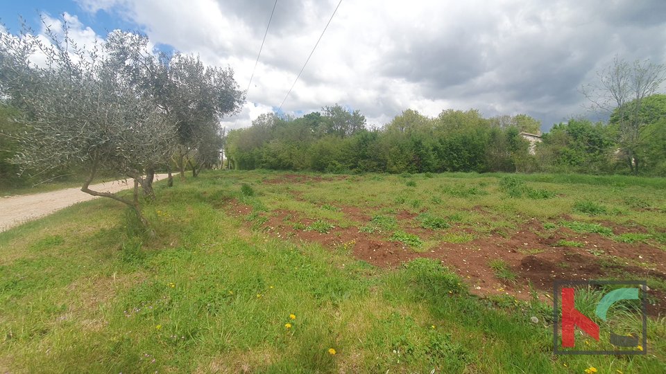Istria, Barban, building plot 1640m2 #sale