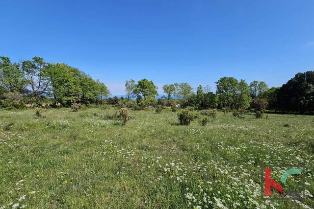 Istria, Peruški, terreno di denominazione agricola 1002m2 #in vendita