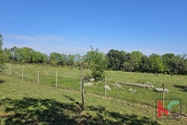 Istria, Peruški, terreno agricolo 1043m2 #vendita