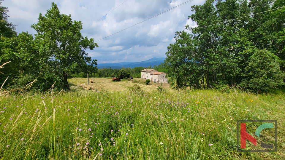 Istria - Kršan, vecchia casa con un terreno di 43.464m2 II vista panoramica, # in vendita