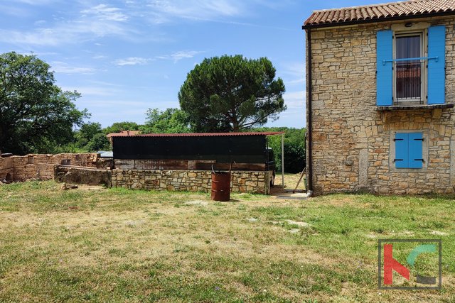 Istra, Sveti Lovreč, prenovljena kamnita hiša z bazenom, hiša za obnovo na parceli 9235m2, #prodaja