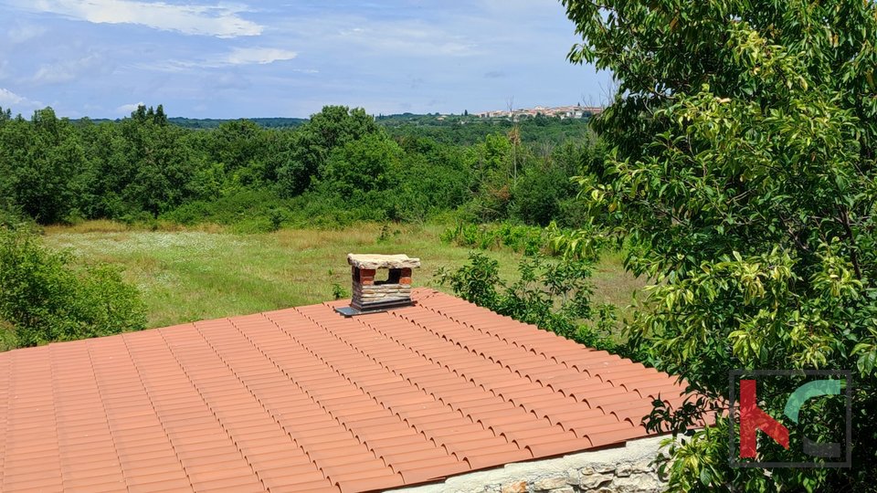 Istria, Sveti Lovreč, renovated stone house with swimming pool, house for renovation on a plot of 9235m2, #sale