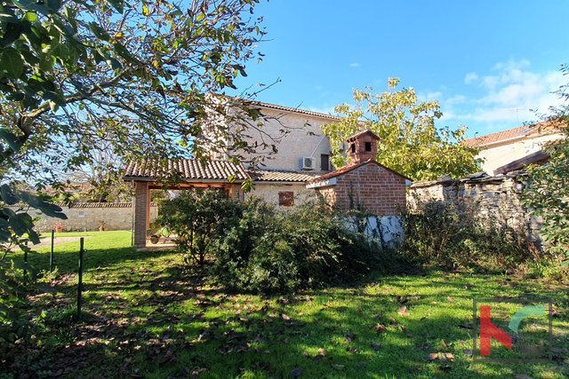 Istria, Tinjan, duplex house of 193.47m2 with urbanized and agricultural land of 6523m2 # sale